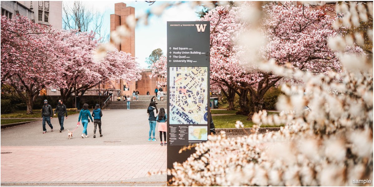 5 Reasons Why Your College or University Should Invest In An LED Wall